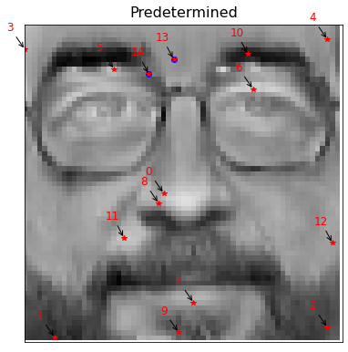 ../_images/examples_spatial_constrained_qr_52_1.png